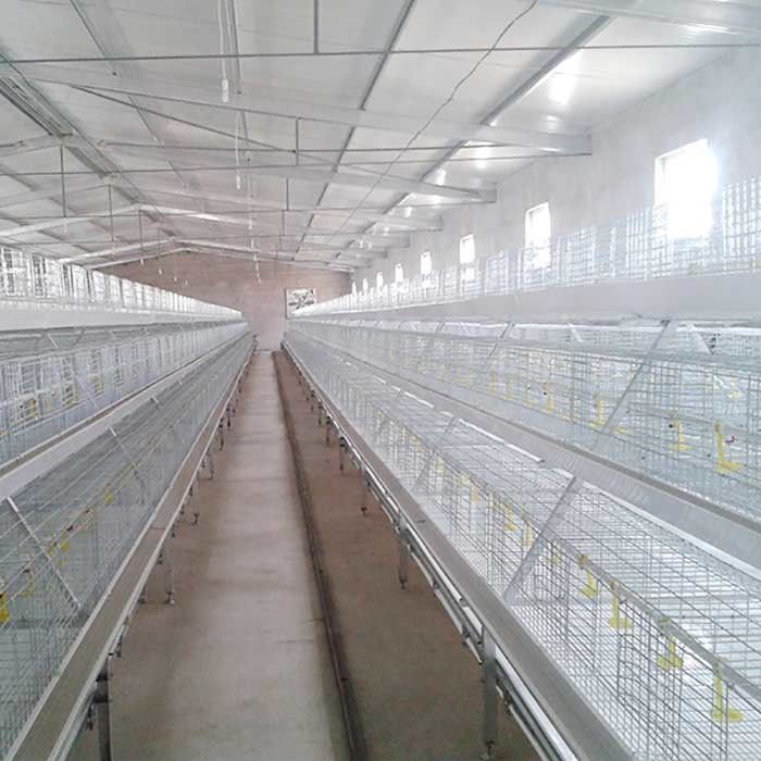Selbstfütterungs-Bratrost-Hühnerstall-Käfig, kundengebundener Entwurfs-Vogel-Zufuhr-Käfig