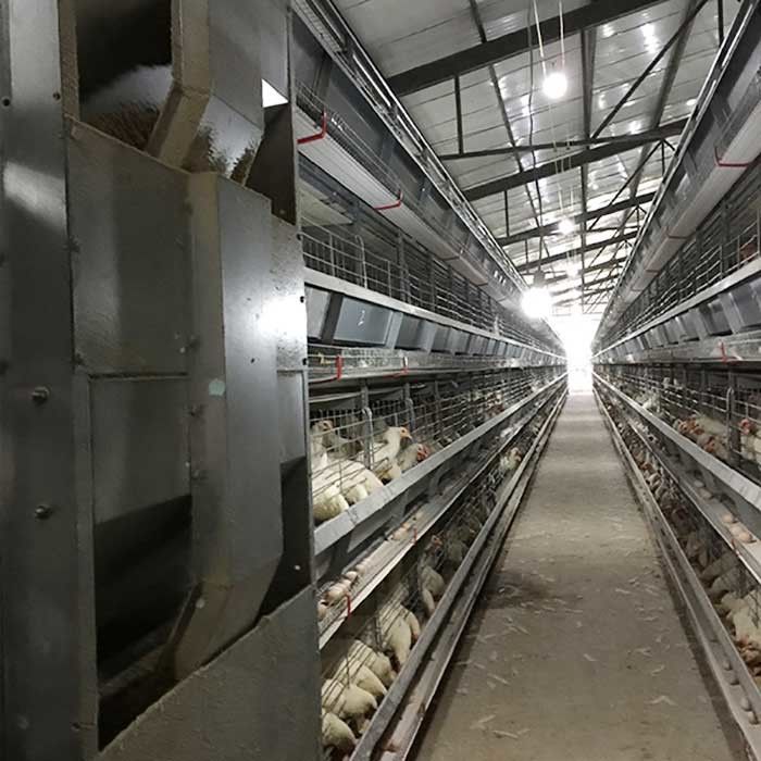 Laufende Zufuhr-Batterie für Geflügel, kundenspezifische Höhen-moderne Hühnerkäfige