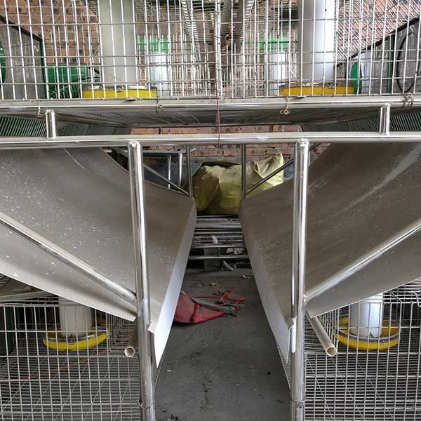 Stabiler das Bauernhof-Kaninchen-Käfig-automatische Trinken/Reinigung 25 Jahre verwenden das Leben