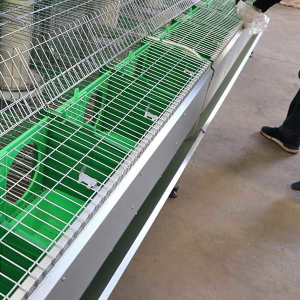 Niedriger Sterberate Doppelt-Reihen-Kaninchen-Käfig, herauf Baby-Kaninchen der Reihen-50 - 80 in den Käfigen