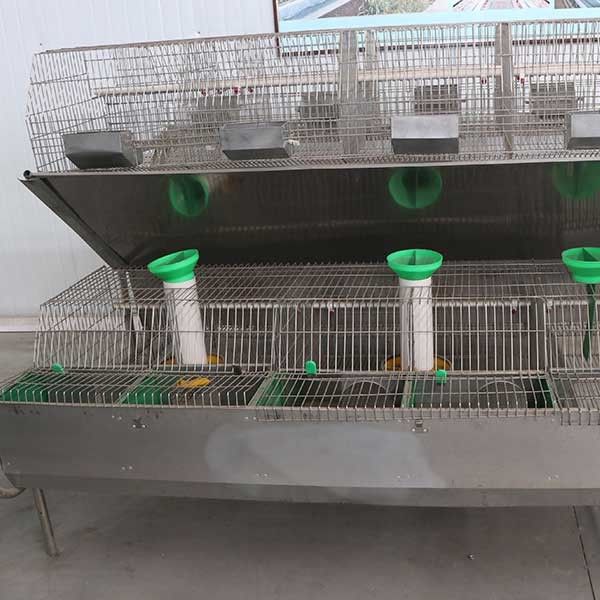 Automatische galvanisierte Kaninchen-Käfige, weibliche Zellmoderner Kaninchen-Käfig des Kaninchen-24