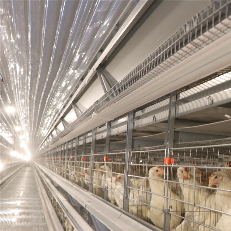 4-8 sperrt Reihen-Schicht-Ei Hühnerbatterie-Geflügelfarm ein