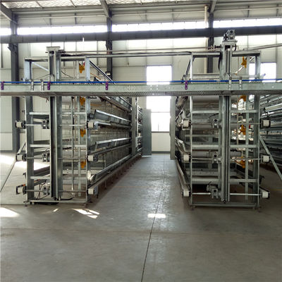 Automatisches Eiersammelsystem für Geflügelfarmen für einen Käfig H-Käfig
