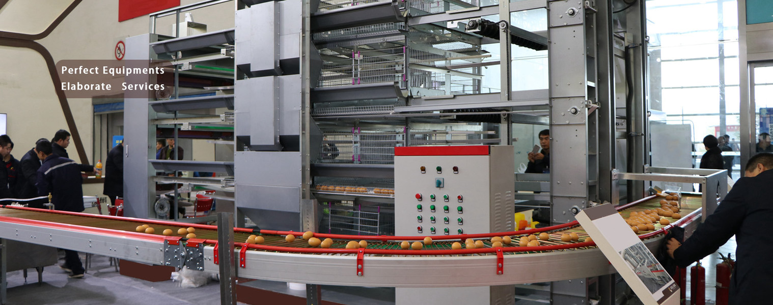 Qualität Geflügel-Hühnerkäfig Fabrik