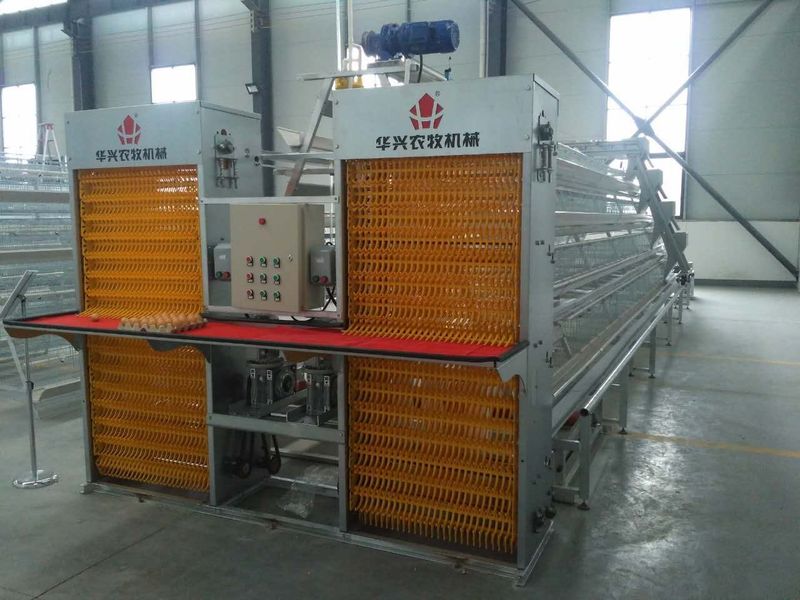 Henan Huaxing Poultry Equipments Co.,Ltd. Fabrik Produktionslinie