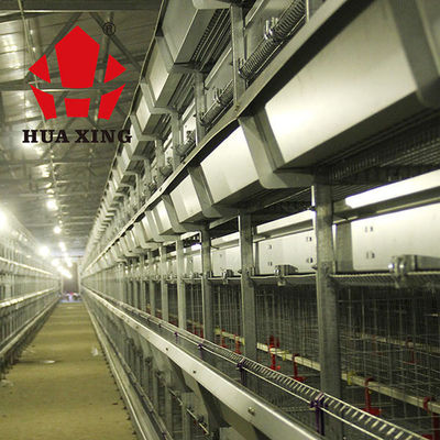 Automatischer Brathühnchen-Käfig für Tiergeflügel-Ackerbau-Viehbestand-langlebiges Gut