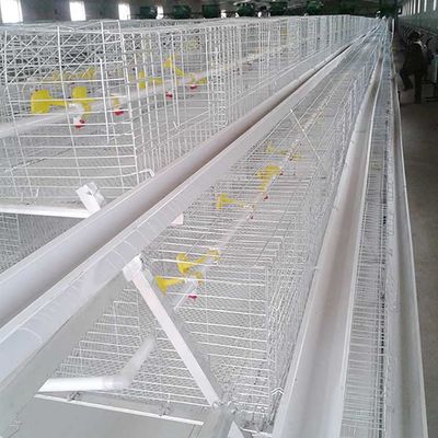 0.75kw galvanisierte Draht-Hühnerkäfige, automatische Schicht-Geflügelzucht-Ausrüstung