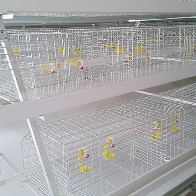 Feuerfester Stahlkäfig für Huhn, Innenbratrost-Bauernhof-Käfig-Geflügel bringen unter