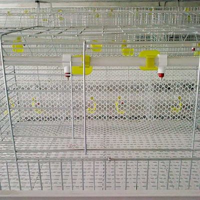 Heiße eingetauchte galvanisierte Art 4 Türen des Brathühnchen-Käfig-H der Reihen-2 für Bauernhof
