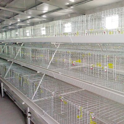 Silberweiß-Brathühnchen-Käfig-hohe Temperatur beständig mit System der Fütterungs-/EC