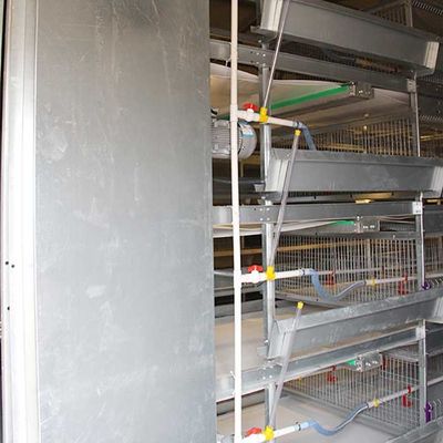 Hohe Leistungsfähigkeits-Baby-Küken-Käfig-große Kapazität einfach, Zustimmung ISO9001 zu säubern
