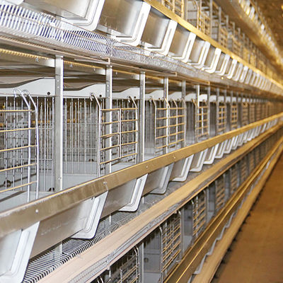 Dauerhaftes automatisches Hühnerfütterungsausrüstung, Hühnerbatterie Hen Cage With Drinking System