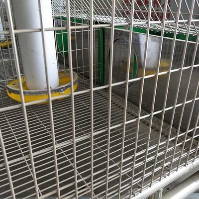 Heißes eingetaucht galvanisiert 24 Zellbauernhof-Kaninchen-Käfig mit automatischem Reinigungs-System