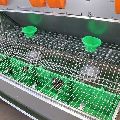 Bequemer intelligenter Stahldraht des Bauernhof-Kaninchen-Käfig-Q235/Plastik