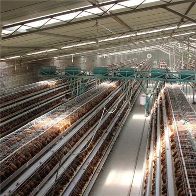 H-Art 4 Reihen-automatisches Geflügel-Versorgungssystem für das Huhn, das Arbeitseinsparung bearbeitet