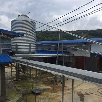 Galvanisierte Geflügelzucht-Ausrüstung 15 Tonnen Kapazitäts-für Hühnerfutter