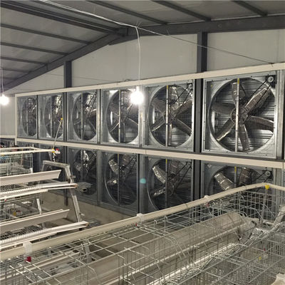 Energiesparendes Geflügelfarm-Klimaregelungs-System für abkühlende Silberweiß-Farbe