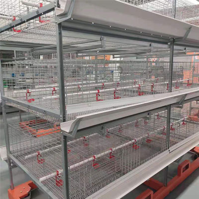 H-Art automatisches Baby-Chick Cage Day Old Layer-Küken-Anheben