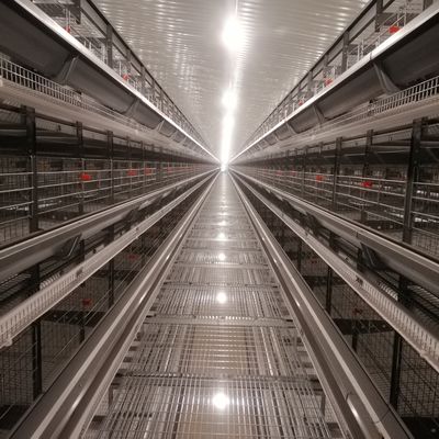 Automatische h-Art Schicht-Hühnerkäfig-Batterie-Huhn sperrt für Geflügelfarm ein