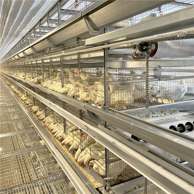 Geflügelzucht galvanisierter Ei-Schicht-Hühnerkäfig für 5000 Vögel