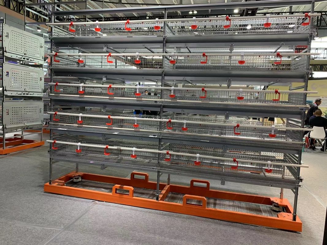 Automatischer Eierwachtelkäfig für 6-stufige Käfigkapazität für 200.000 Wachteln pro Bauernhof