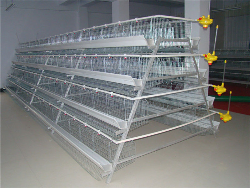 96-160 Vögel eine Art Geflügel-Käfig-volle automatische hohe Errichtungsleistungsfähigkeit
