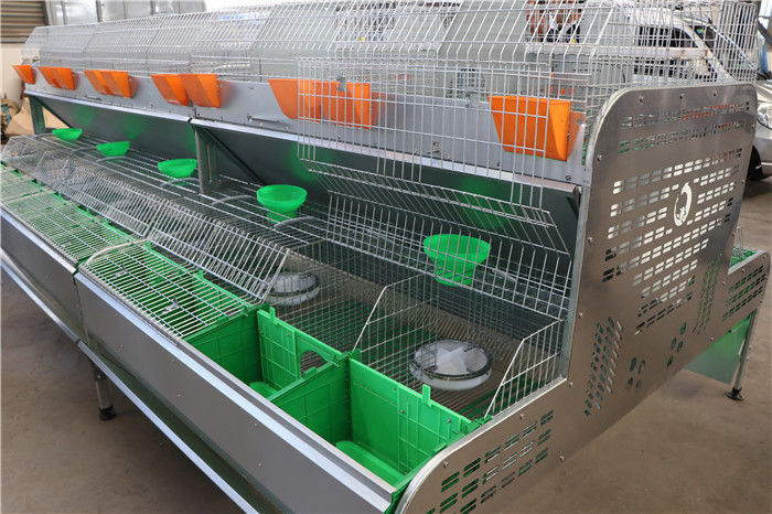 Bauernhof-Kaninchen-Käfig automatisches trinkendes Cleaing der Geflügel-Ausrüstungs-Q235
