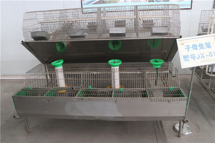 Handelspositions-Draht-Mesh Rabbit Cage Automatic Control-System des geflügel-24