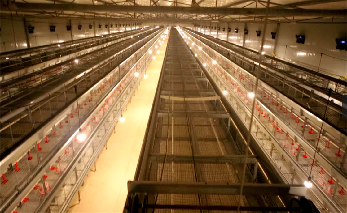 Heißes eingetauchtes galvanisiertes Geflügel Duck Cage/Antirost-Geflügel-Käfig für Ei-Enten