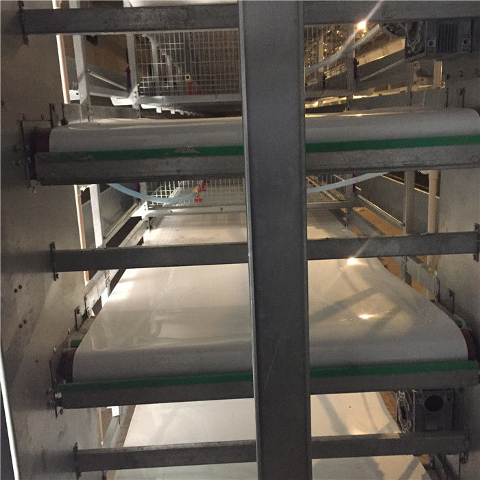 0.3M automatisierten Geflügel-Ausrüstung, Viehbestand-/Geflügel-Düngemittel-Abbau-System