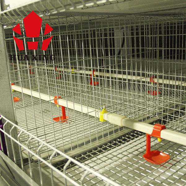Automatischer Brathühnchen-Käfig für Tiergeflügel-Ackerbau-Viehbestand-langlebiges Gut