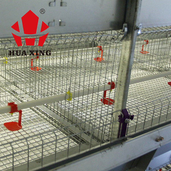 Automatischer Brathühnchen-Käfig für Tiergeflügel-Ackerbau-Viehbestand-langlebiges Gut