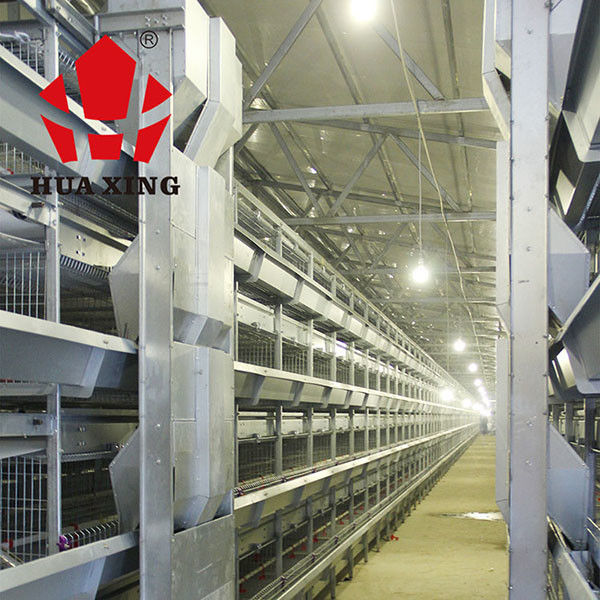 Rationale Struktur-automatische Wasser-Zufuhr für Hühner/automatische Geflügel-Zufuhr für Bratrost