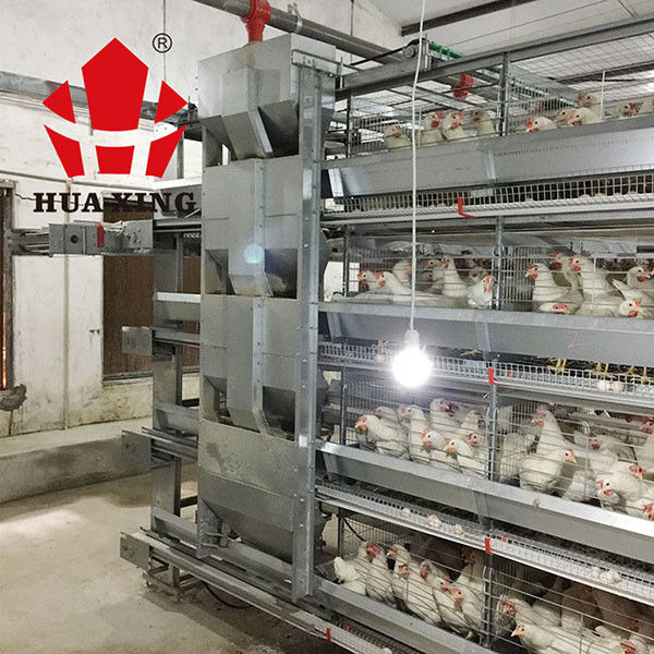 Rationale Struktur-automatische Wasser-Zufuhr für Hühner/automatische Geflügel-Zufuhr für Bratrost