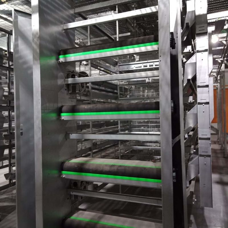 0.3M automatisierten Geflügel-Ausrüstung, Viehbestand-/Geflügel-Düngemittel-Abbau-System