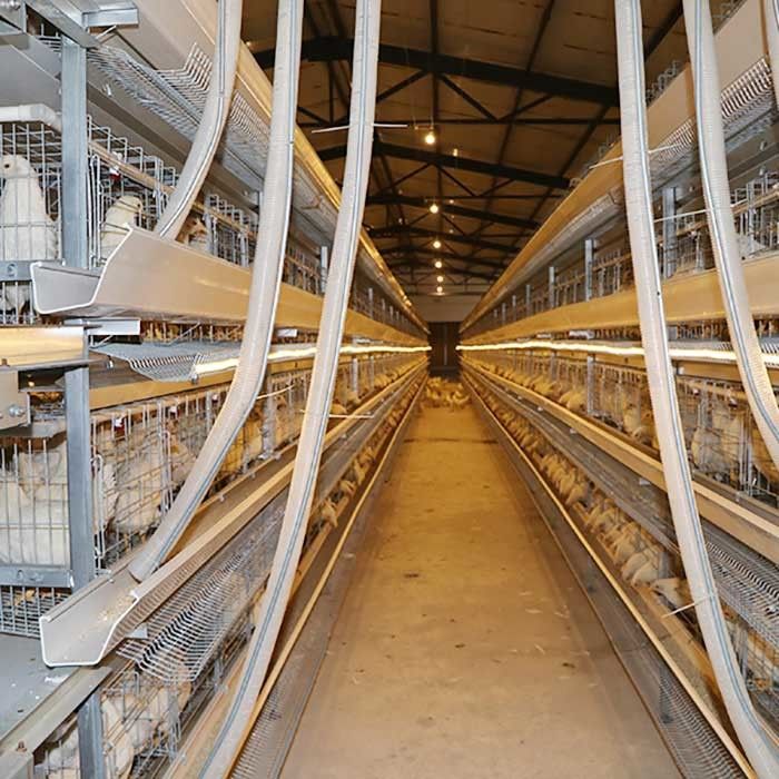 Große Kapazitäts-Bauernhof-Schicht-Hühnerkäfig-Batterieleistung heißes eingetauchtes Gavalnized-Material
