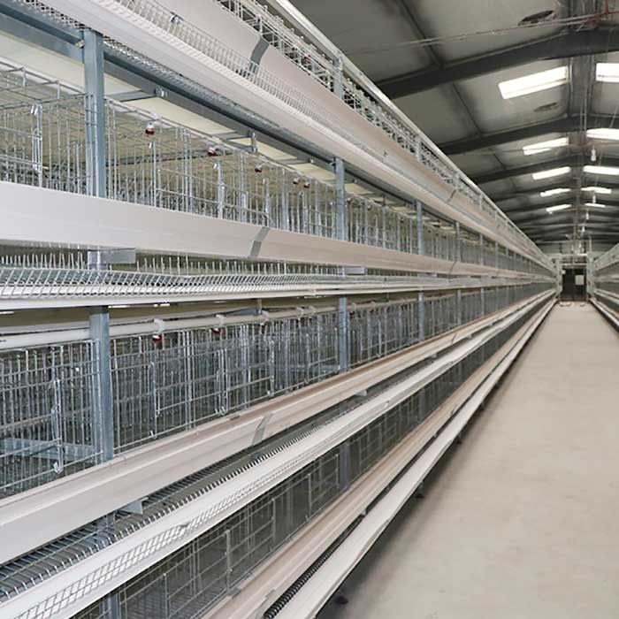 Korb, der Geflügelzucht-Batterie-System, eine Art Schicht-Käfige für Huhn aufrichtet