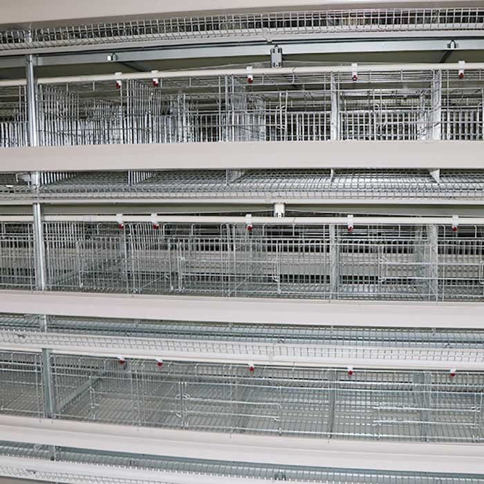 Ei-Holding verdrahtete Schicht, die Käfig, wissenschaftliche entworfene Schicht-Hennen-Käfige bewirtschaftet