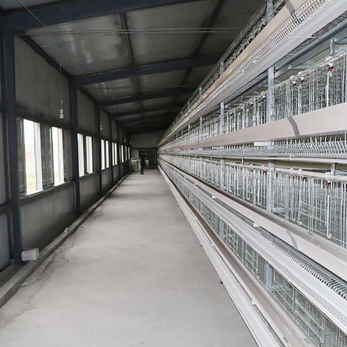 Ei-Holding verdrahtete Schicht, die Käfig, wissenschaftliche entworfene Schicht-Hennen-Käfige bewirtschaftet