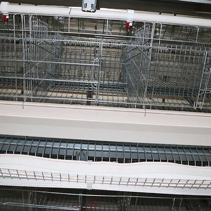 Langlebiges Gut eine Art Zustimmung der Schicht-Hühnerkäfig-System-Steuerungs-IS9001