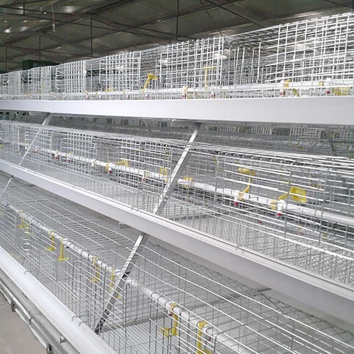 Automatischer 3 Reihen-Tierkäfig, 96 - 120 Vogel-Bratrost-Käfig-System für Bauernhof