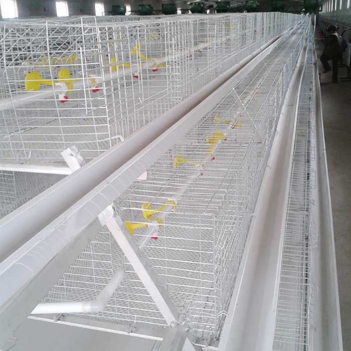 0.75kw galvanisierte Draht-Hühnerkäfige, automatische Schicht-Geflügelzucht-Ausrüstung
