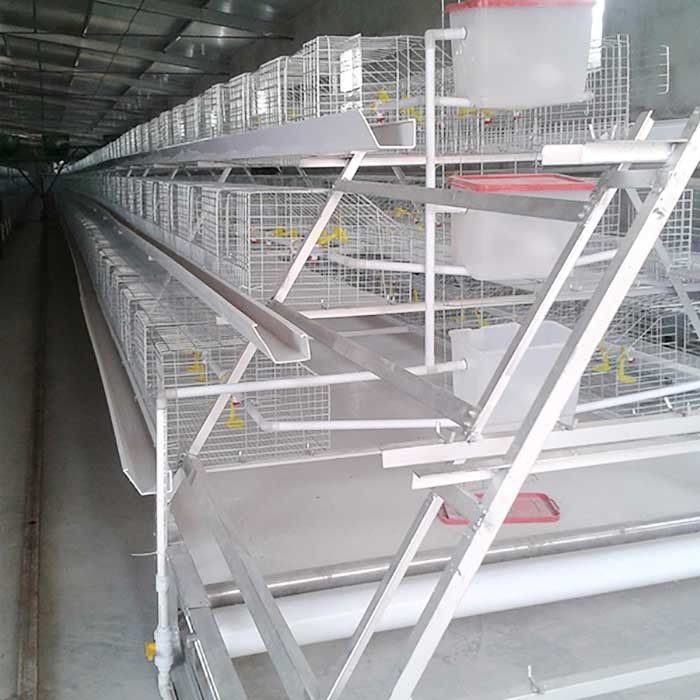 Heiße eingetauchte galvanisierte Art 4 Türen des Brathühnchen-Käfig-H der Reihen-2 für Bauernhof
