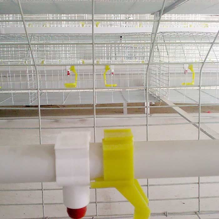 Kundenspezifische Handelsfleisch-Hühnerkäfige, dauerhafter Chick Breeding Cage