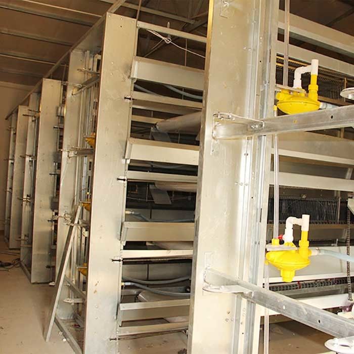 H-Art 4 Reihen-moderne Geflügel-Käfige, 120CM einfach, Gebäude-Hühnerkäfige zu installieren