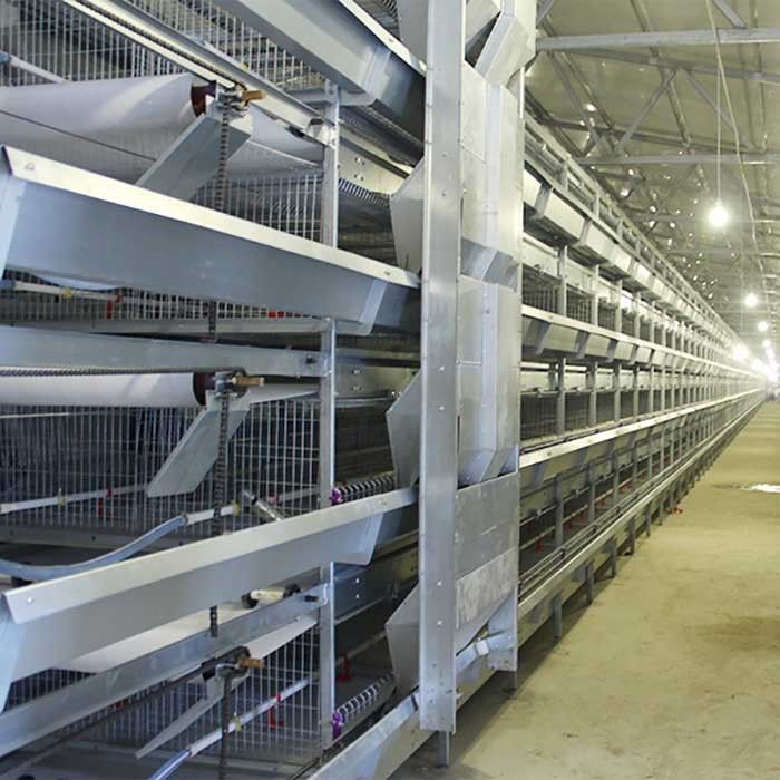 H-Art 4 Reihen-moderne Geflügel-Käfige, 120CM einfach, Gebäude-Hühnerkäfige zu installieren