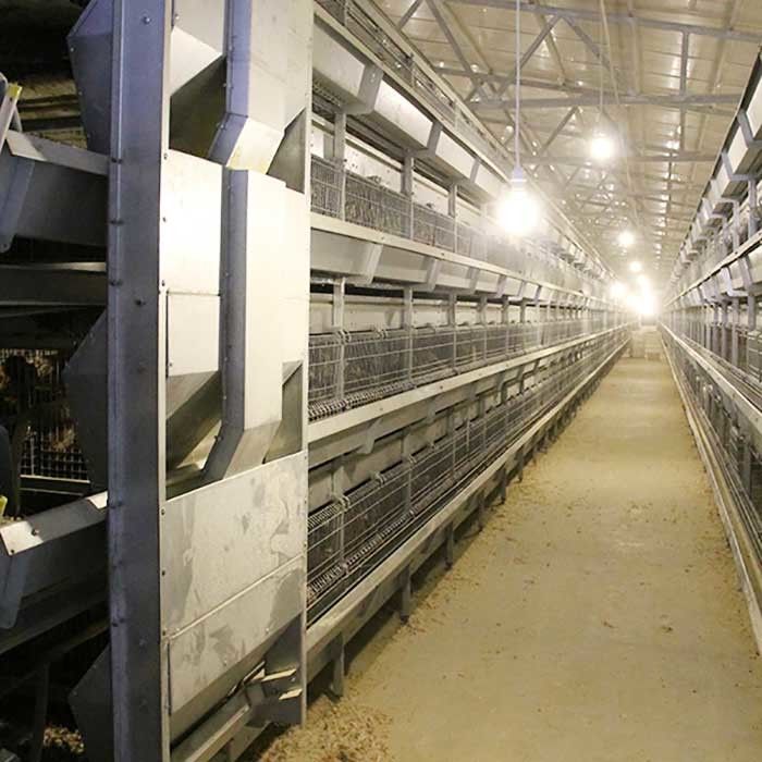 Manuelles Fütterungssystem 45 Tageshühnerkäfig, 3 Reihen-Kükenaufzucht-Käfig