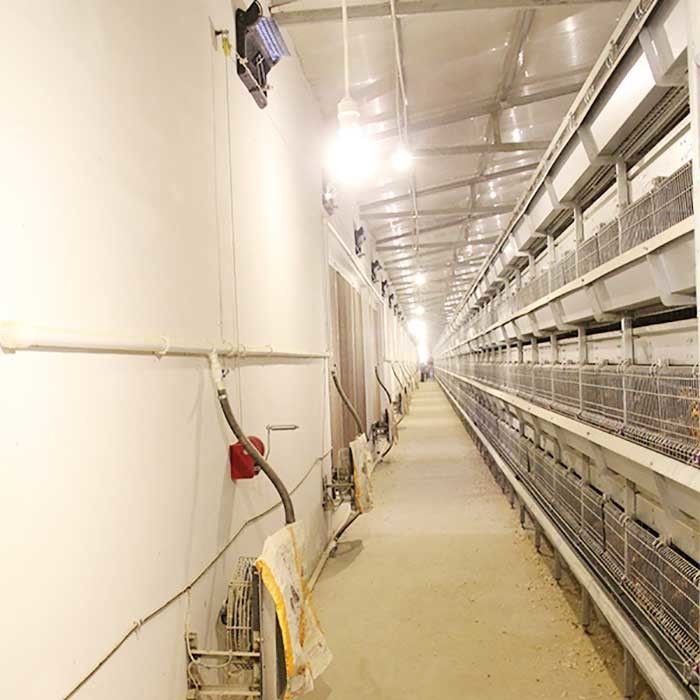 Manuelles Fütterungssystem 45 Tageshühnerkäfig, 3 Reihen-Kükenaufzucht-Käfig