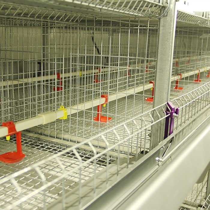 195 * 50 * 35CM Küken-Brutkasten-Käfig, hohe Leistungsfähigkeits-Käfig-Schicht-Landwirtschaft