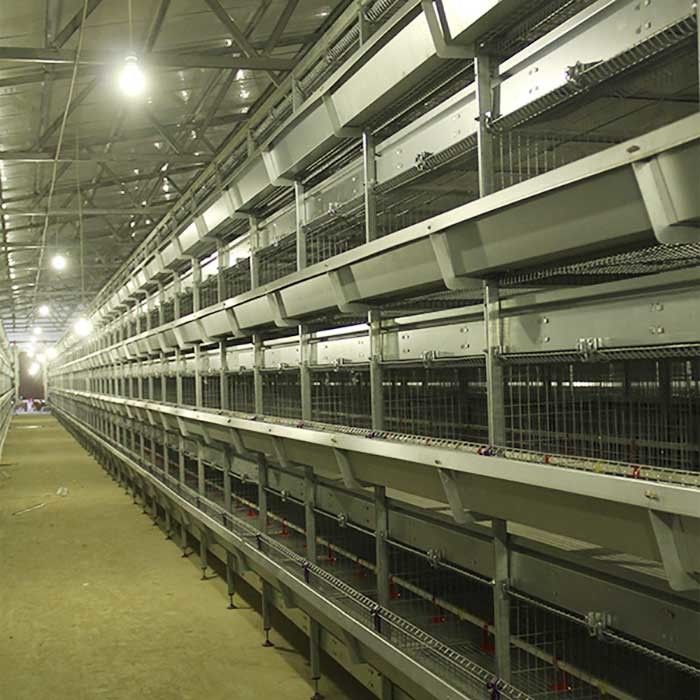 195 * 50 * 35CM Küken-Brutkasten-Käfig, hohe Leistungsfähigkeits-Käfig-Schicht-Landwirtschaft